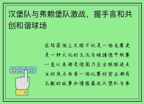 汉堡队与弗赖堡队激战，握手言和共创和谐球场