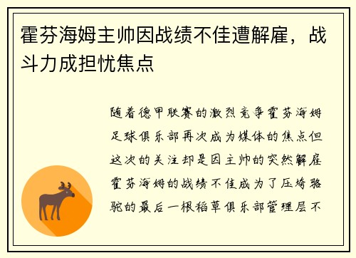 霍芬海姆主帅因战绩不佳遭解雇，战斗力成担忧焦点