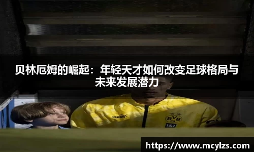 伟德bv国际